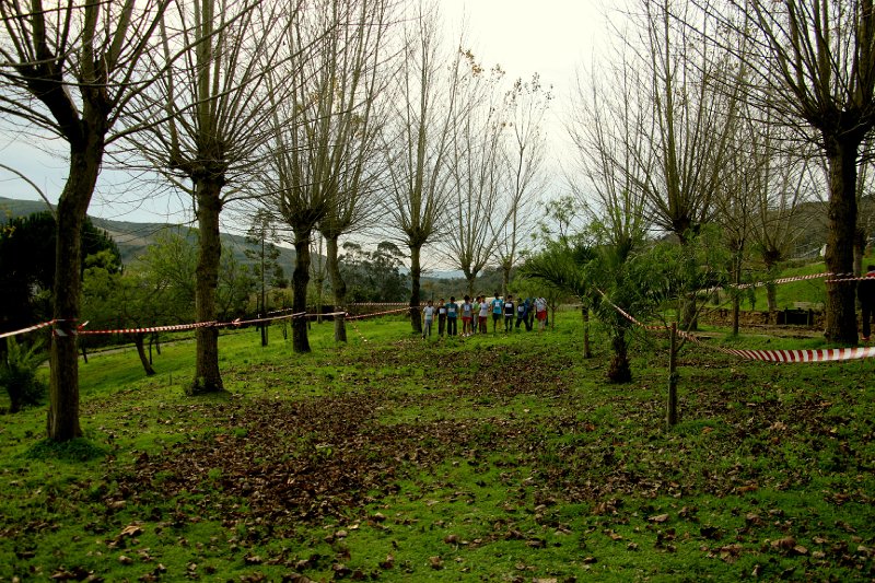 corta mato 2